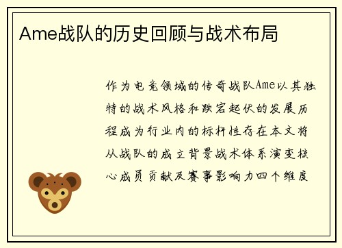 Ame战队的历史回顾与战术布局