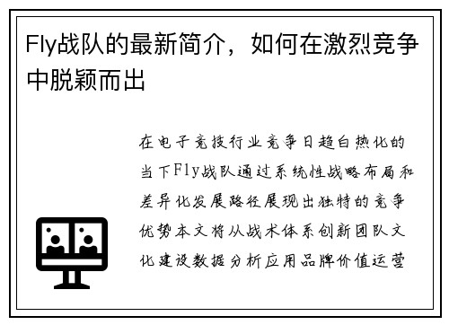 Fly战队的最新简介，如何在激烈竞争中脱颖而出