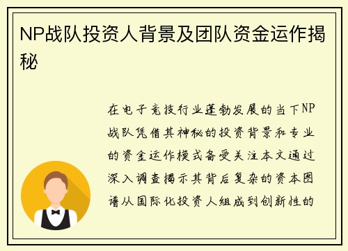 NP战队投资人背景及团队资金运作揭秘